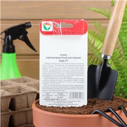 Семена Огурец Темп F1,партенокарпический, 5 шт