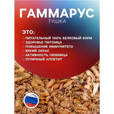 Корм для рыб и черепах «Пижон» гаммарус тушка, 100 г