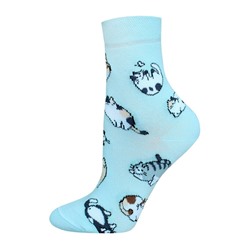 Классические БРЕСТСКИЕ НОСКИ ЖЕНСКИЕ 1102 FUNNY