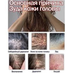 Шампунь #23088605