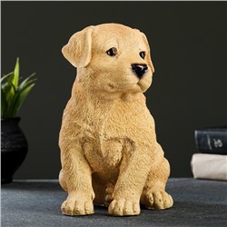 Садовая фигура из полистоуна «Щенок лабрадора», 17×12×20 см