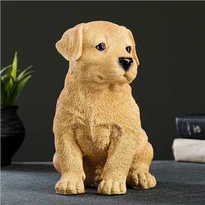 Садовая фигура из полистоуна «Щенок лабрадора», 17×12×20 см