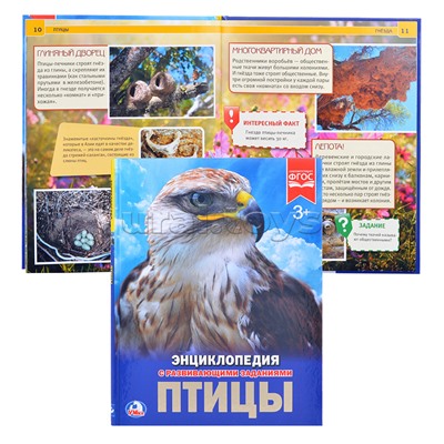 Птицы (энциклопедия А4)