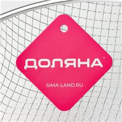 Фритюрница Доляна, d=24 см, цвет серебристый