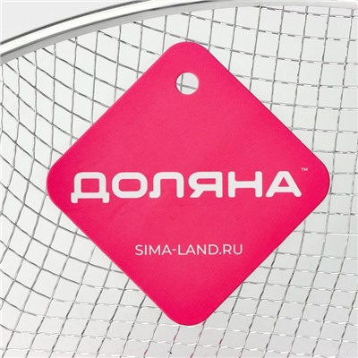 Фритюрница Доляна, d=24 см, цвет серебристый