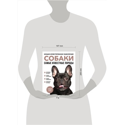 Эксмо Галина Сула, Елена Яворская-Милешкина, Анна Сафронова, Елена Китаева "Самые известные породы. СОБАКИ. Большая иллюстрированная энциклопедия"