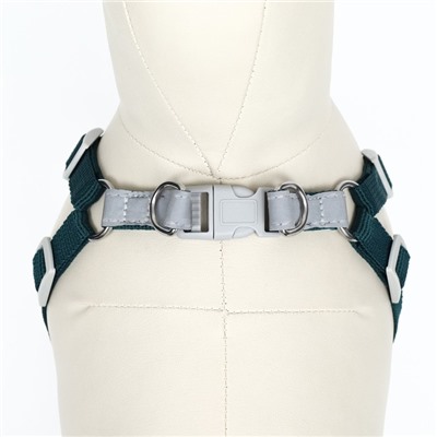 Комплект Sport+, XS, поводок 120×1.5 см, ОШ 37-39 см, ОГ 41-46 см, розово - чёрный