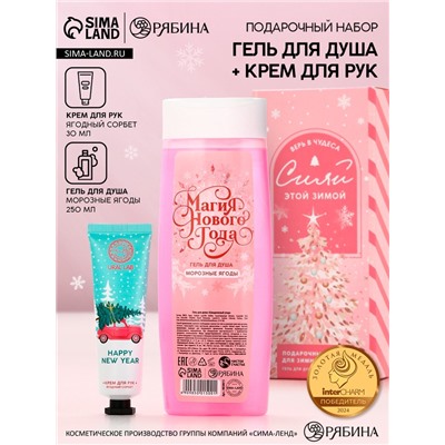 Подарочный набор новогодний «Магия Нового года», гель для душа 250 мл и крем для рук 30 мл, Чистое счастье