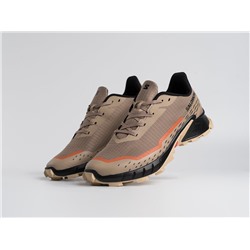 Кроссовки Salomon Alphacross 5 GTX