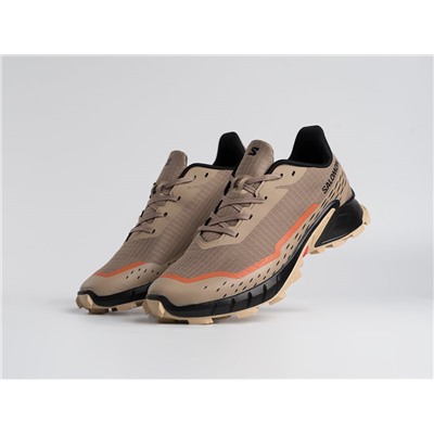Кроссовки Salomon Alphacross 5 GTX