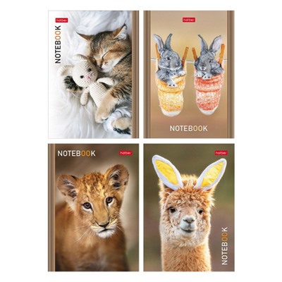 Блокнот А6 24л клетка "В мире животных" ассорти (091011) Хатбер