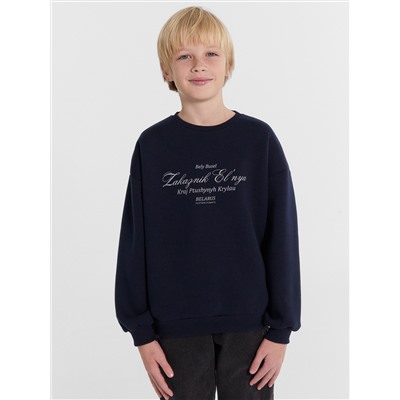 СВИТШОТ ДЛЯ МАЛЬЧИКОВ 123447