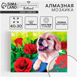Алмазная мозаика с полным заполнением на холсте «Щенок», 30×40 см