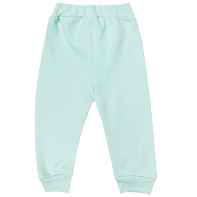 1345/6 Штанишки (птенчики)