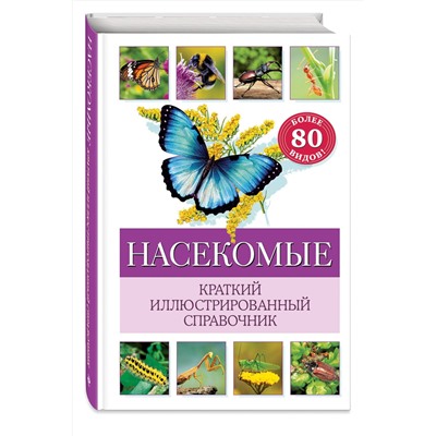 Эксмо Бэрбель Офтринг "Насекомые. Краткий иллюстрированный справочник"