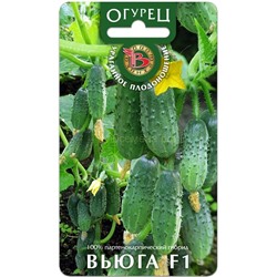Огурец Вьюга (Биотехника)
