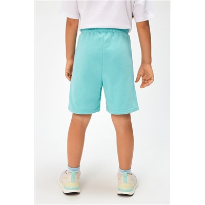 Шорты ACOOLA, 1039344