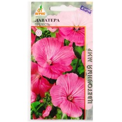 Лаватера Прелесть   (Код: 78320)