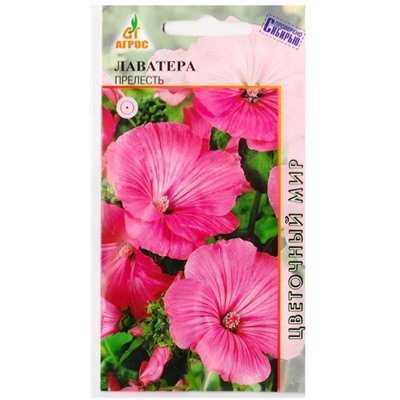 Лаватера Прелесть   (Код: 78320)
