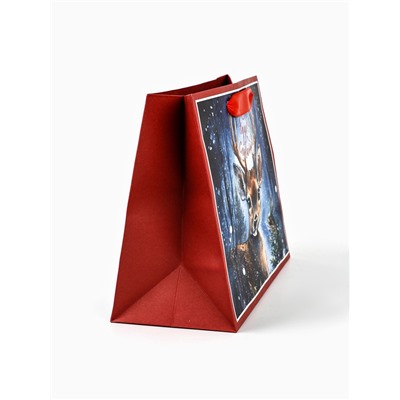 Пакет подарочный новогодний крафтовый, «Чудеса случаются», 23×18×10 см