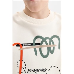 Толстовка для мальчиков PELICAN, 1236462