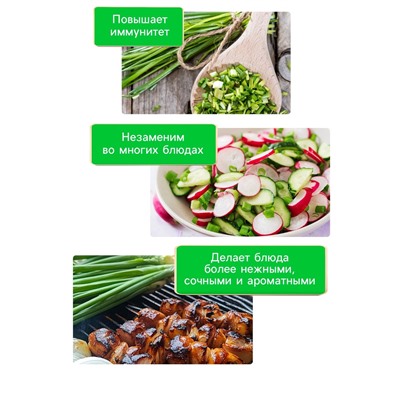 Семена Лук шнитт "Чемал", 0,2 г