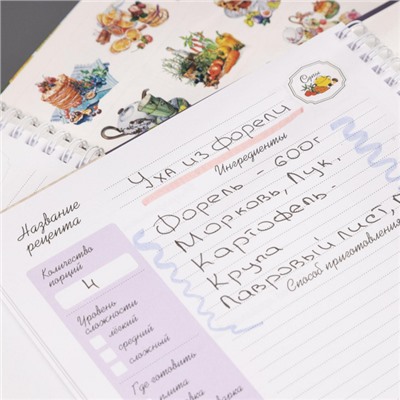 Книга для записи кулинарных рецептов на спирали А4 80л "Рецепты моей семьи" 4цв. разделителя, с наклейками (091719) 34456 Хатбер