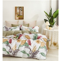 Текс-плюс КПБ Общий 00000000786