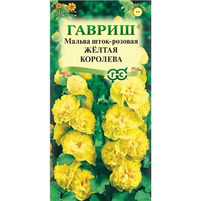Мальва Желтая королева (Гавр)
