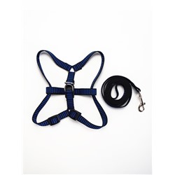 Комплект амуниции рельефный, поводок 120×1.5 см, ОГ 36-49 см, сине-чёрный