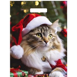 Пакет 31*40 Новогодний Мур 7099