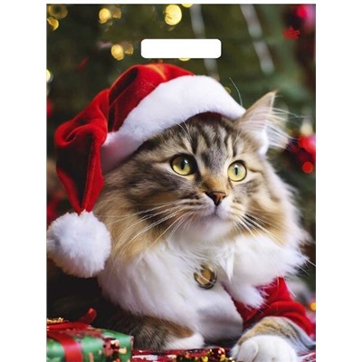 Пакет 31*40 Новогодний Мур 7099