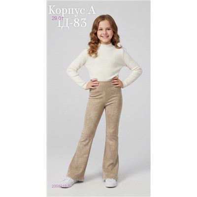 штаны 2058219-5