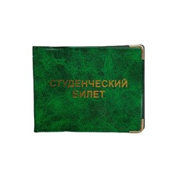 Обложка для удостоверения #22595982