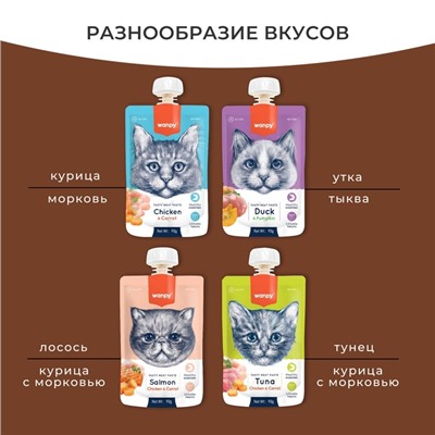Wanpy Cat Лакомство для кошек Мясной мусс из лосося и курицы с морковью 90 г