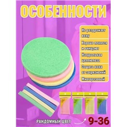 Спонж #23114075