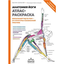 Эксмо Келли Солоуэй "Анатомия йоги: атлас-раскраска. Визуальный гид по телу — от структуры к осознанной практике"