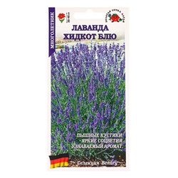 Семена Лаванда «Хидкот Блю», 10 шт., «Золотая Сотка Алтая»