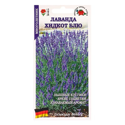 Семена Лаванда «Хидкот Блю», 10 шт., «Золотая Сотка Алтая»