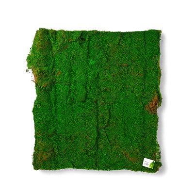 Мох искусственный, декоративный, полотно 1×1 м, цвет мох, Greengo
