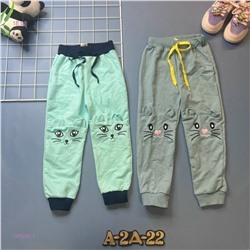 штаны 1979255-1