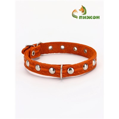 Ошейник, 29×1.2 см, ОШ 18-25 см, однослойный, украшенный, кожа, цвет МИКС
