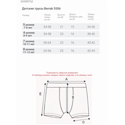 Трусы для мальчика Berrak