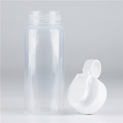 Бутылка для воды пластиковая «Вид 2», 450 мл