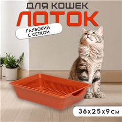 Туалет для кошек, 36×25×9 см, глубокий, с сеткой, пластик, коричневый