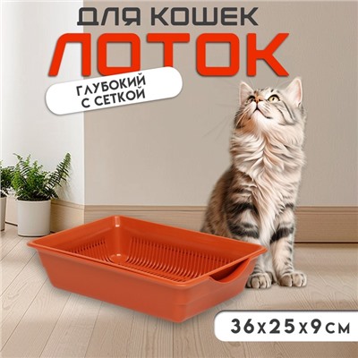 Туалет для кошек, 36×25×9 см, глубокий, с сеткой, пластик, коричневый