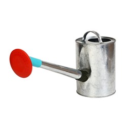 Лейка, 5 л, с рассеивателем, оцинкованная, без рисунка, носик d = 25 мм