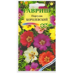 Портулак Королевский  смесь (Код: 9917)
