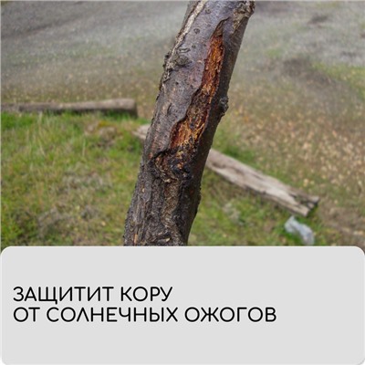 Лента для подвязки растений, 10×0.02 м, плотность 60 г/м², набор 2 шт., спанбонд с УФ-стабилизатором, белая, Greengo, Эконом 20%
