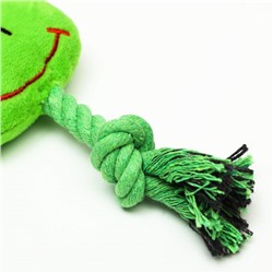 Игрушка мягкая для собак «Лягушка с канатом», с пищалкой, 18 см, зелёная